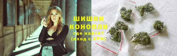 сатива Белоозёрский