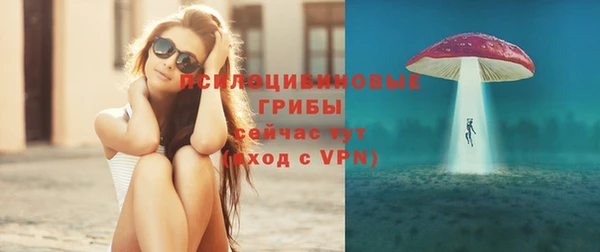 сатива Белоозёрский