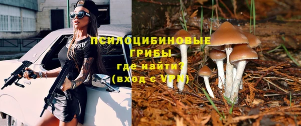 сатива Белоозёрский