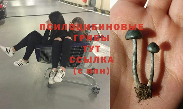 гидропоника Беломорск